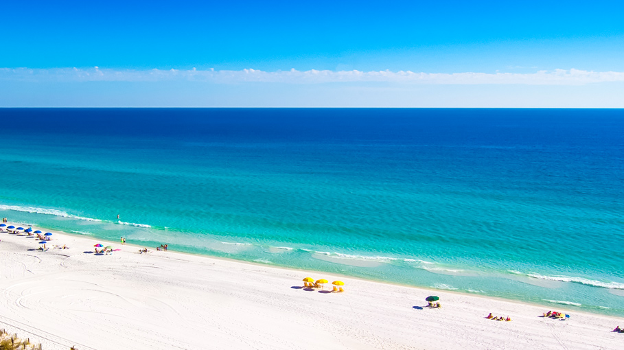 are dogs allowed on the beach in destin florida